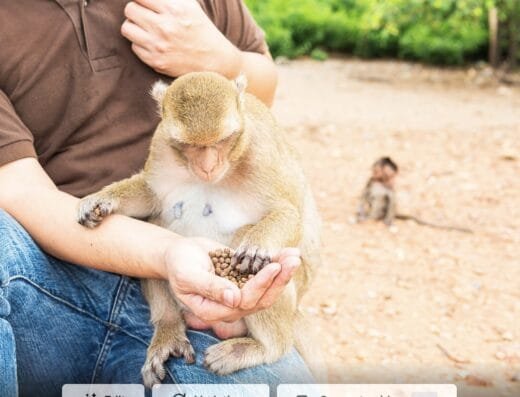 Wildlife Friends Taiwan in Taichung