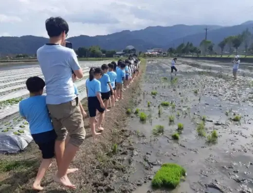 Ama Zhangmei Farm DIY Experience 3-in-1 Package