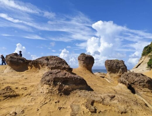 Private Car Charter for a Relaxing Day