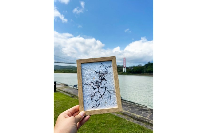 【Seaweed DIY & Canoeing / Kayaking】2 in 1 Summer Fun