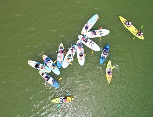 【Seaweed DIY & SUP Adventure】2 in 1 Summer Fun