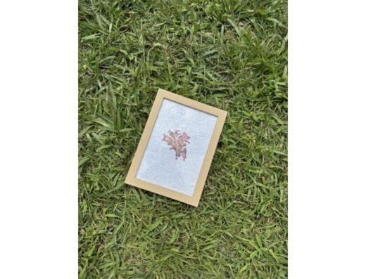 【Seaweed Art Experience】Artisanal Paper & Seaweed Specimen Workshop for Family