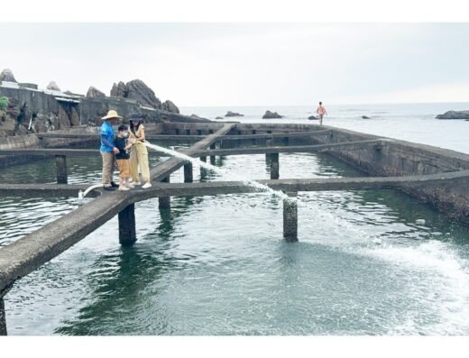 【Abalone Farm Experience & Kayak/SUP Adventure】The Ultimate 2 in 1 Eco-Tour